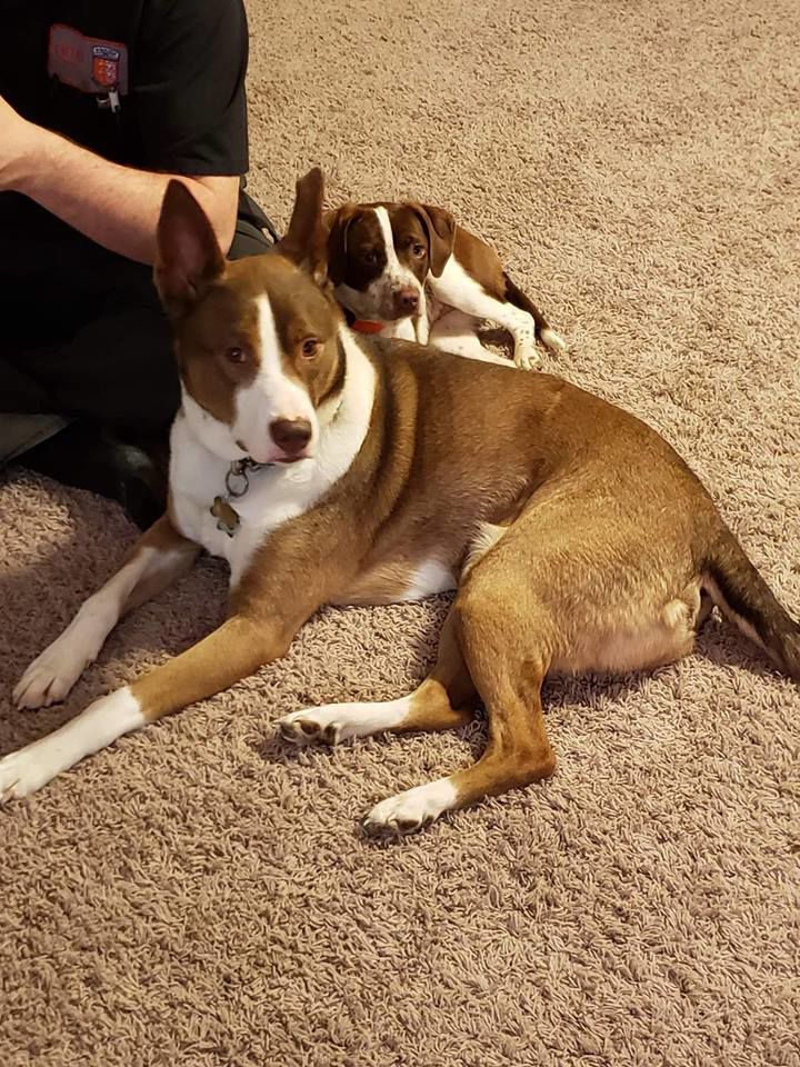 Gus and Lottie